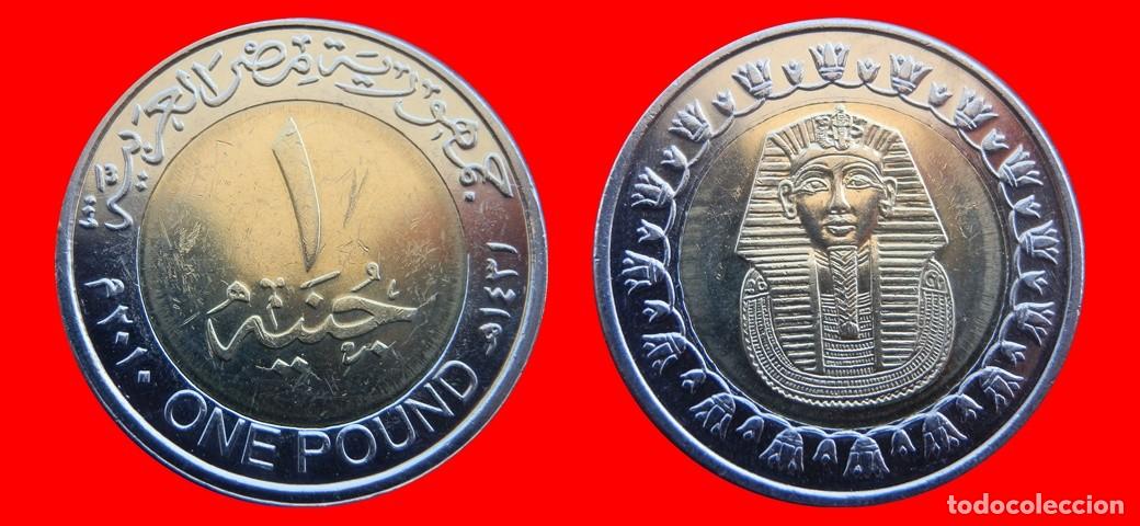 Monedas antiguas de &Aacute;frica: 1 LIBRA POUND 2010 EGIPTO-144988
