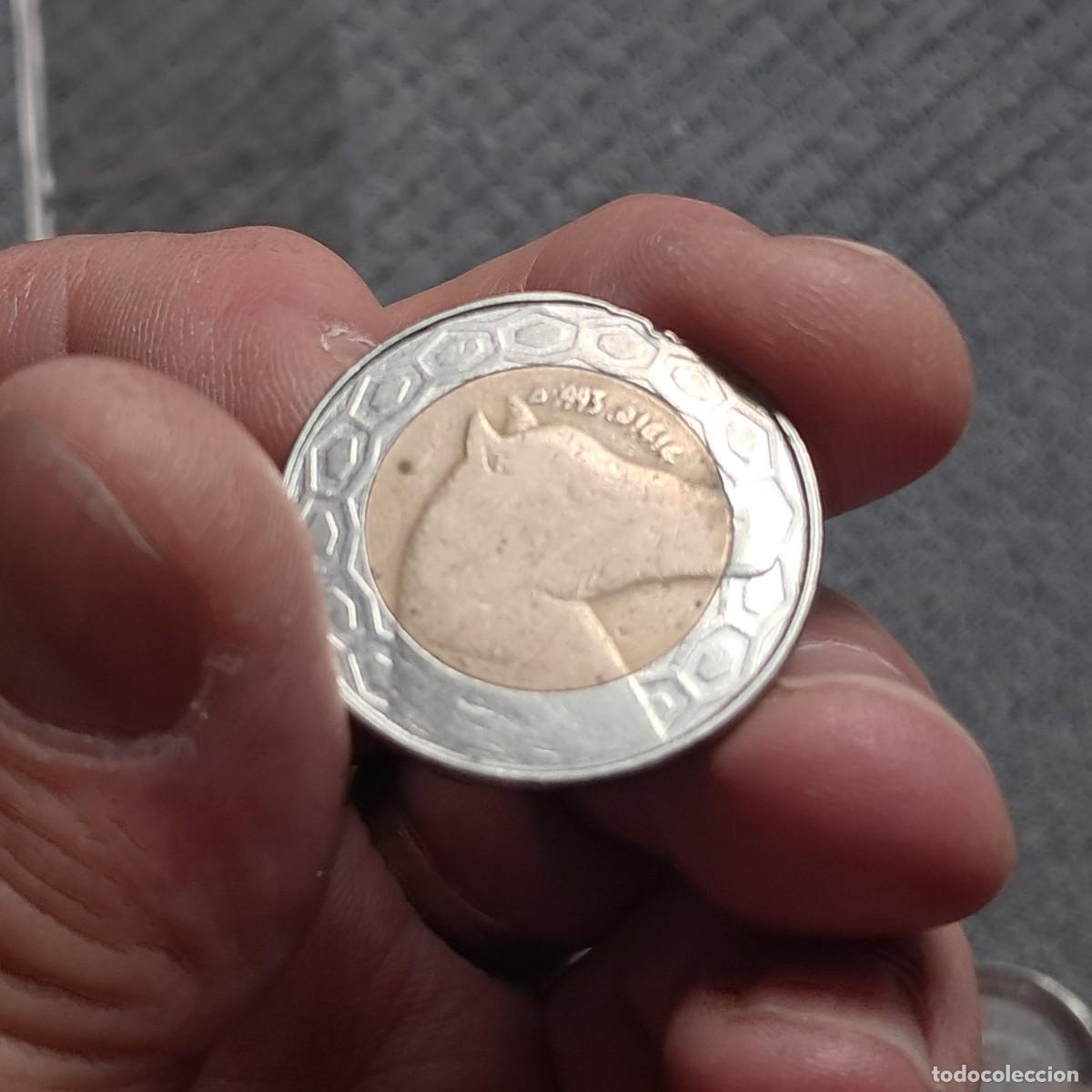 Monedas antiguas de &Aacute;frica: MONEDA DE ARGELIA 100 DINARS 1414 (1993) G, KM# 132.