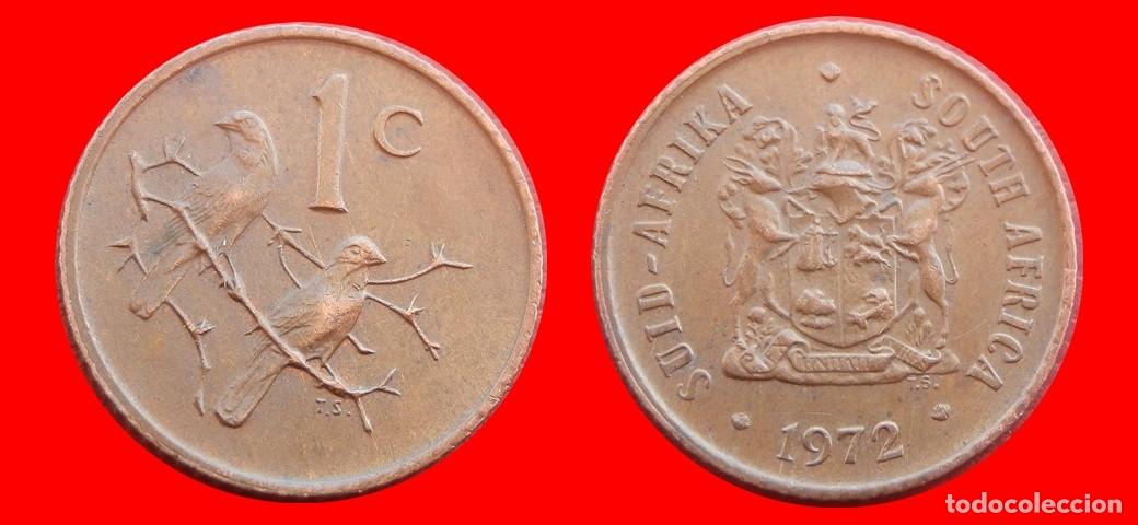 Monete antiche di Africa: 1 CENTAVO 1972 SUDAFRICA-150364