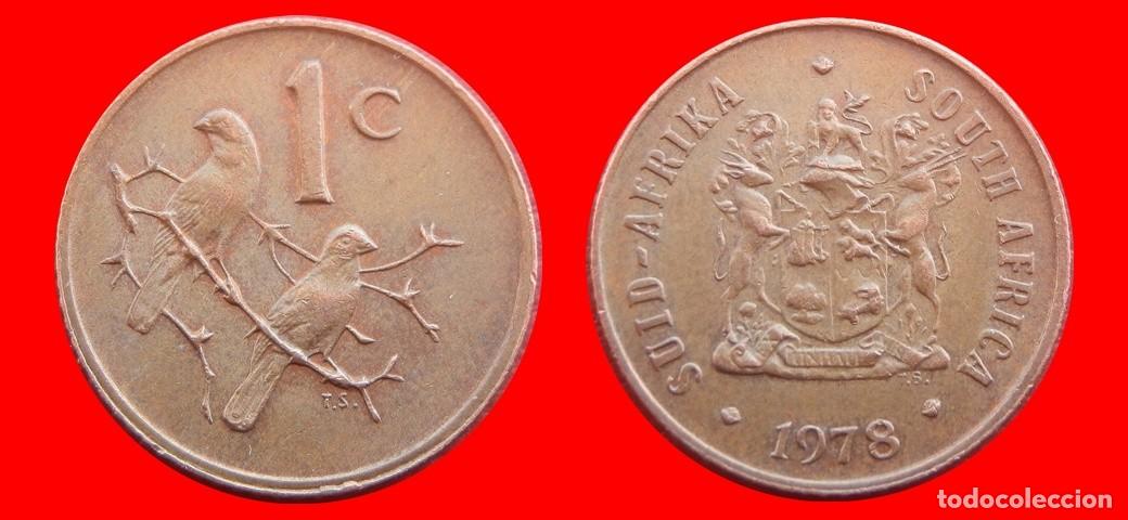 Monete antiche di Africa: 1 CENTAVO 1978 SUDAFRICA-150365