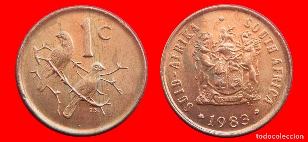 Monete antiche di Africa: 1 CENTAVO 1983 SUDAFRICA-150366
