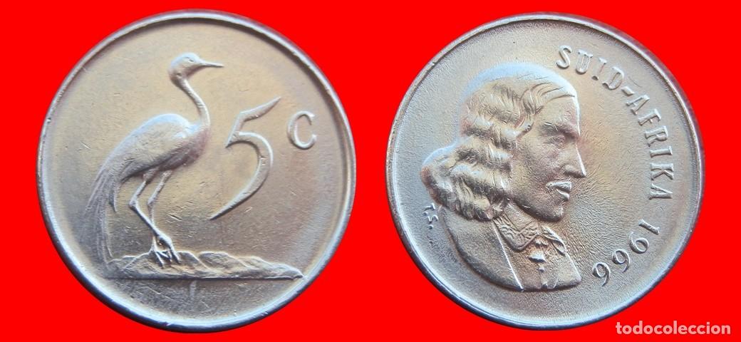 Monete antiche di Africa: 5 CENTAVOS 1966 SUDAFRICA-150370