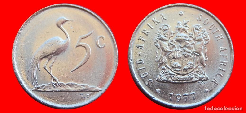 Monete antiche di Africa: 5 CENTAVOS 1977 SUDAFRICA-150371