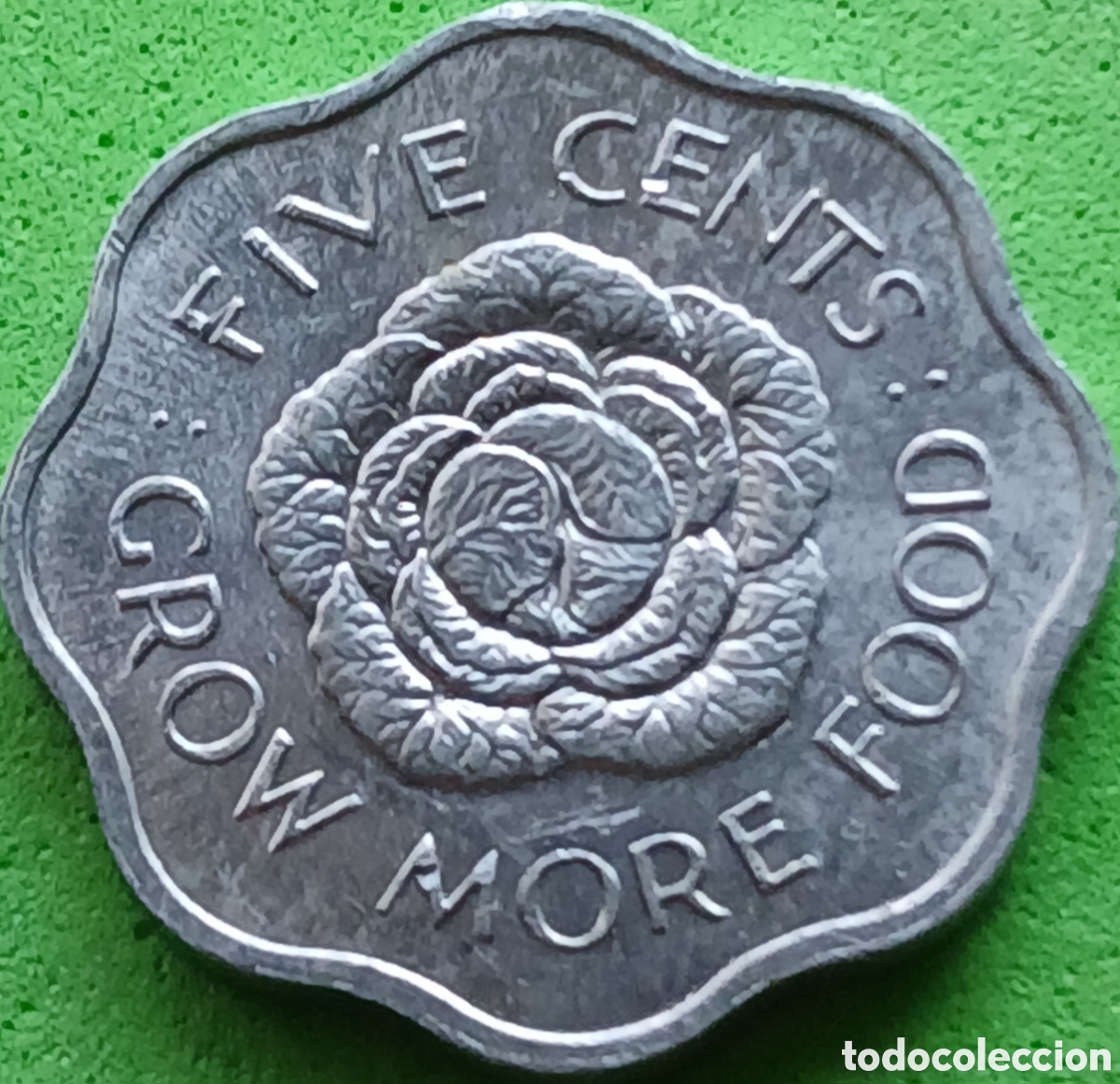 Monedas antiguas de &Aacute;frica: Seychelles 5 cents 1972 km#18 FAO