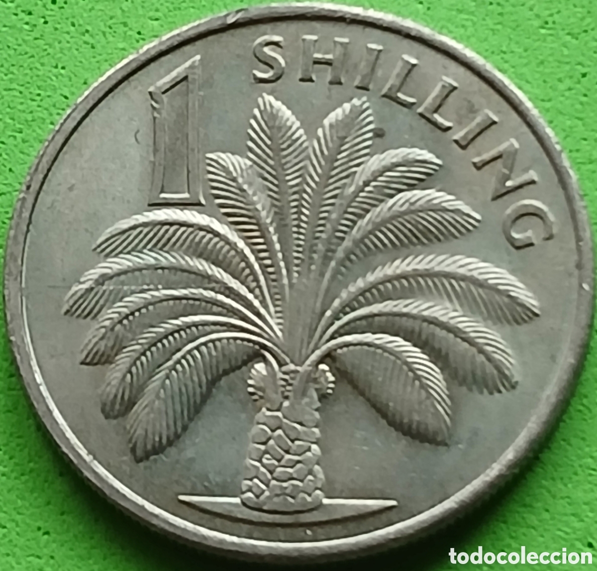 Monedas antiguas de &Aacute;frica: Gambia 1 schilling 1966 km#4 poco com&uacute;n