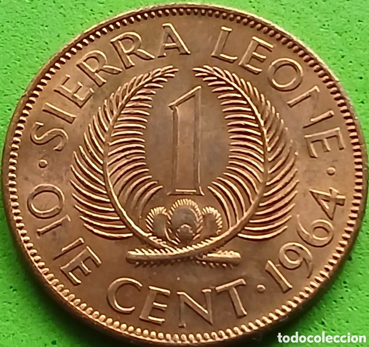 Monedas antiguas de &Aacute;frica: Sierra Leone one cent 1964 km#17