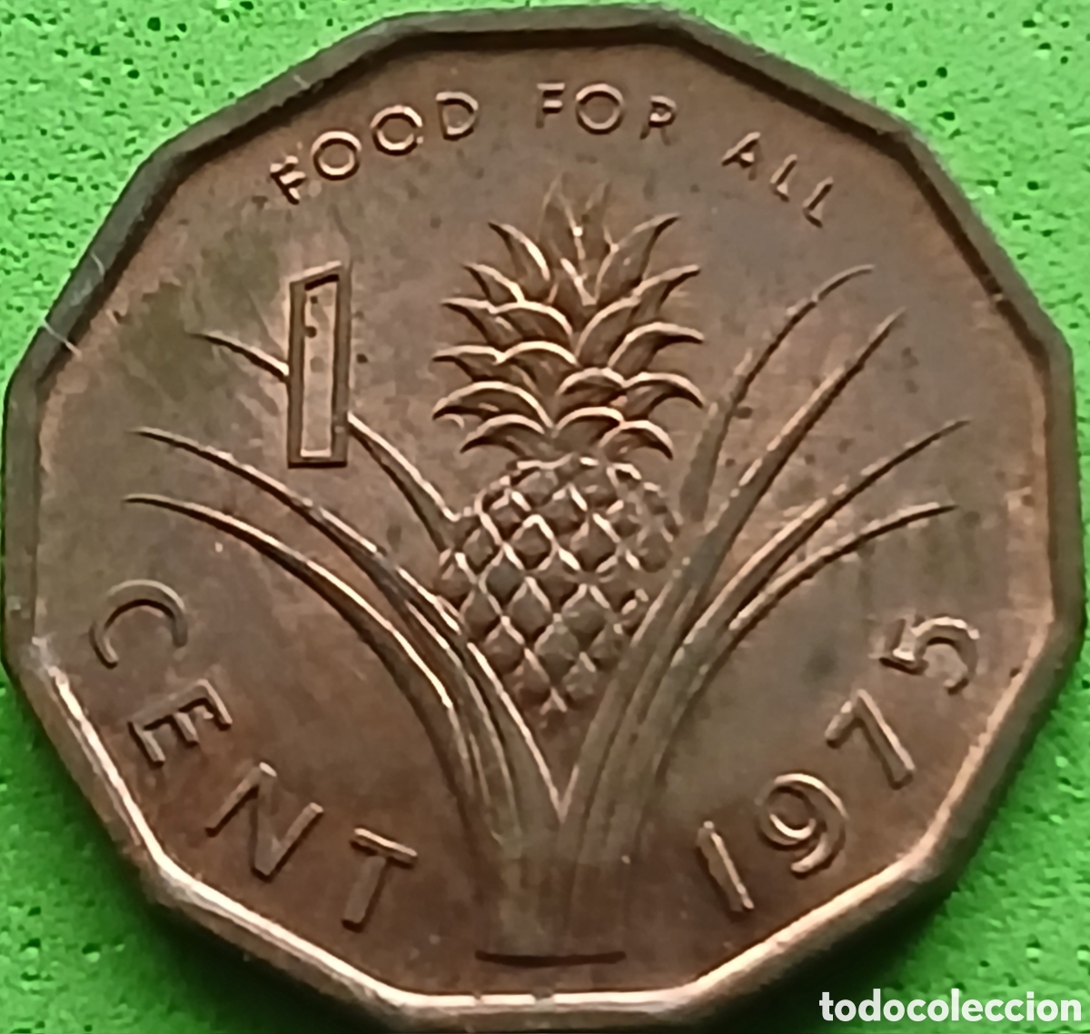 Monedas antiguas de &Aacute;frica: Esuatini ( Swazilandia) 1 cent 1975 km#21 FAO