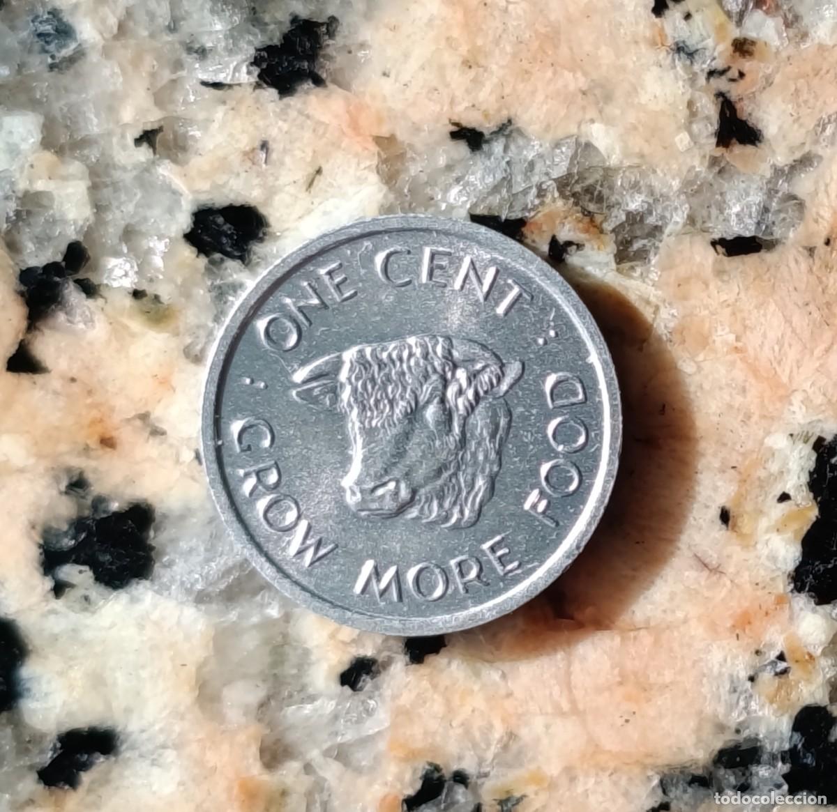 Monedas antiguas de &Aacute;frica: Moneda de Elizabeth II seychelles moneda de 1 centavo de 1972 circulada