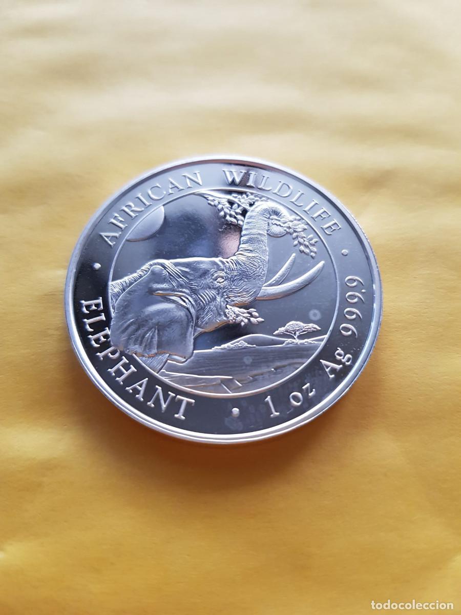 Monnaies anciennes d'Afrique: SOMALIA-100 SHILLINGS-2023-PLATA 999-1 ONZA