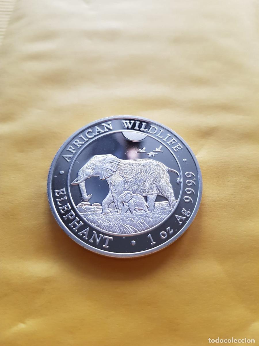 Monnaies anciennes d'Afrique: SOMALIA-100 SHILLINGS-2022-PLATA 999-1 ONZA