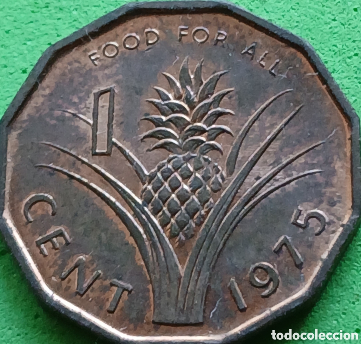 Monedas antiguas de &Aacute;frica: Esuatini ( Swazilandia) 1 cent 1975 km#21 FAO