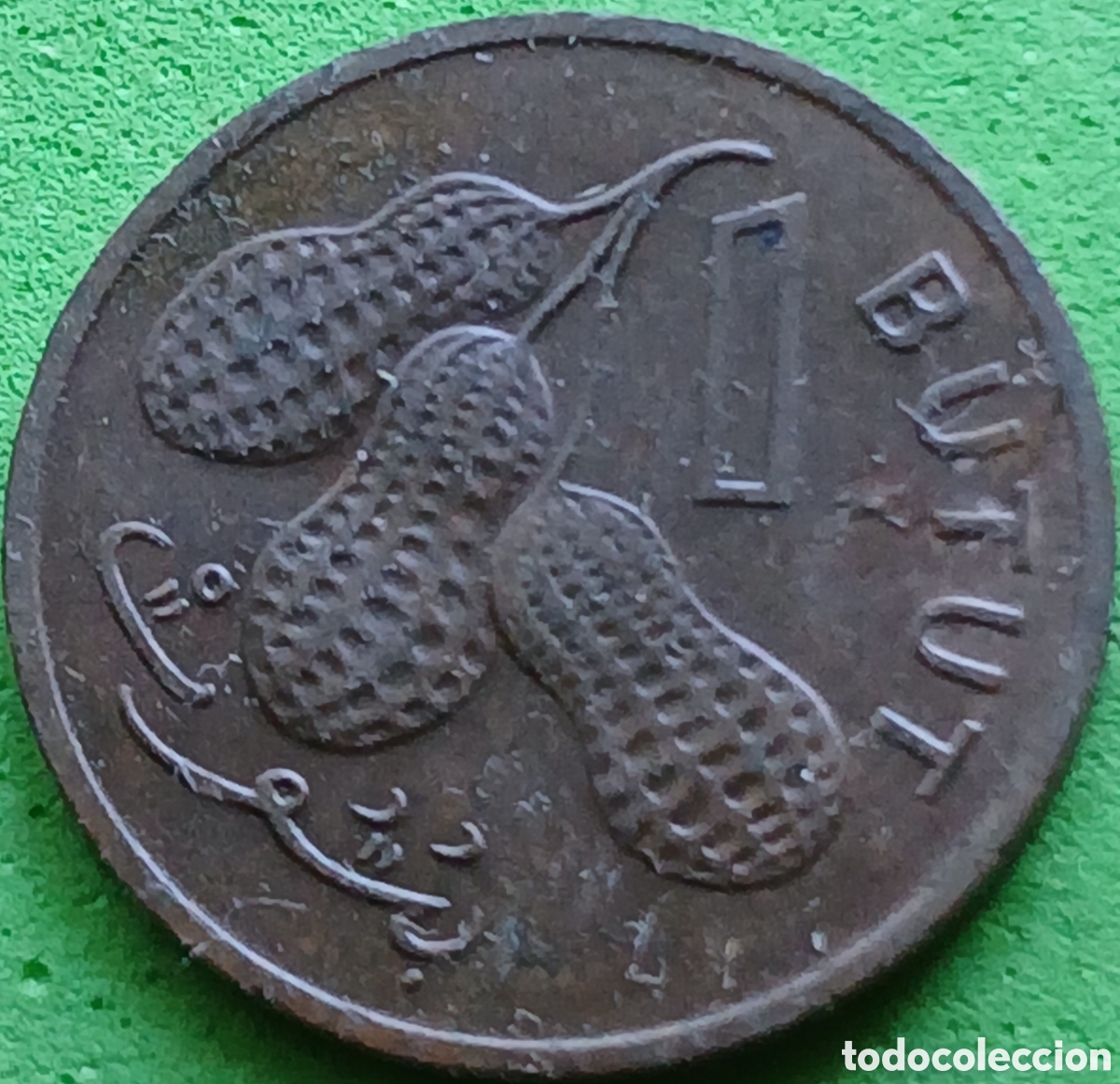 Monedas antiguas de &Aacute;frica: Gambia 1 butut 1971 km#8