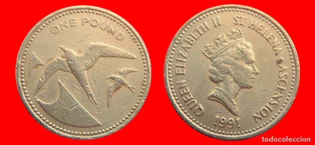 Monedas antiguas de &Aacute;frica: 1 LIBRA POUND 1991 SANTA HELENA ASCENSION-151356