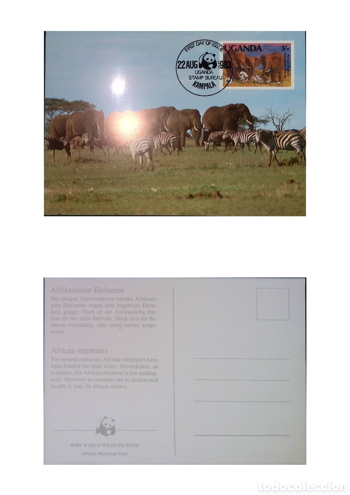 Monedas antiguas de &Aacute;frica: CA)Uganda &middot; 1983 &middot; African Elephants Conservation &middot; First day cover maximum card with 5/- stamp depi