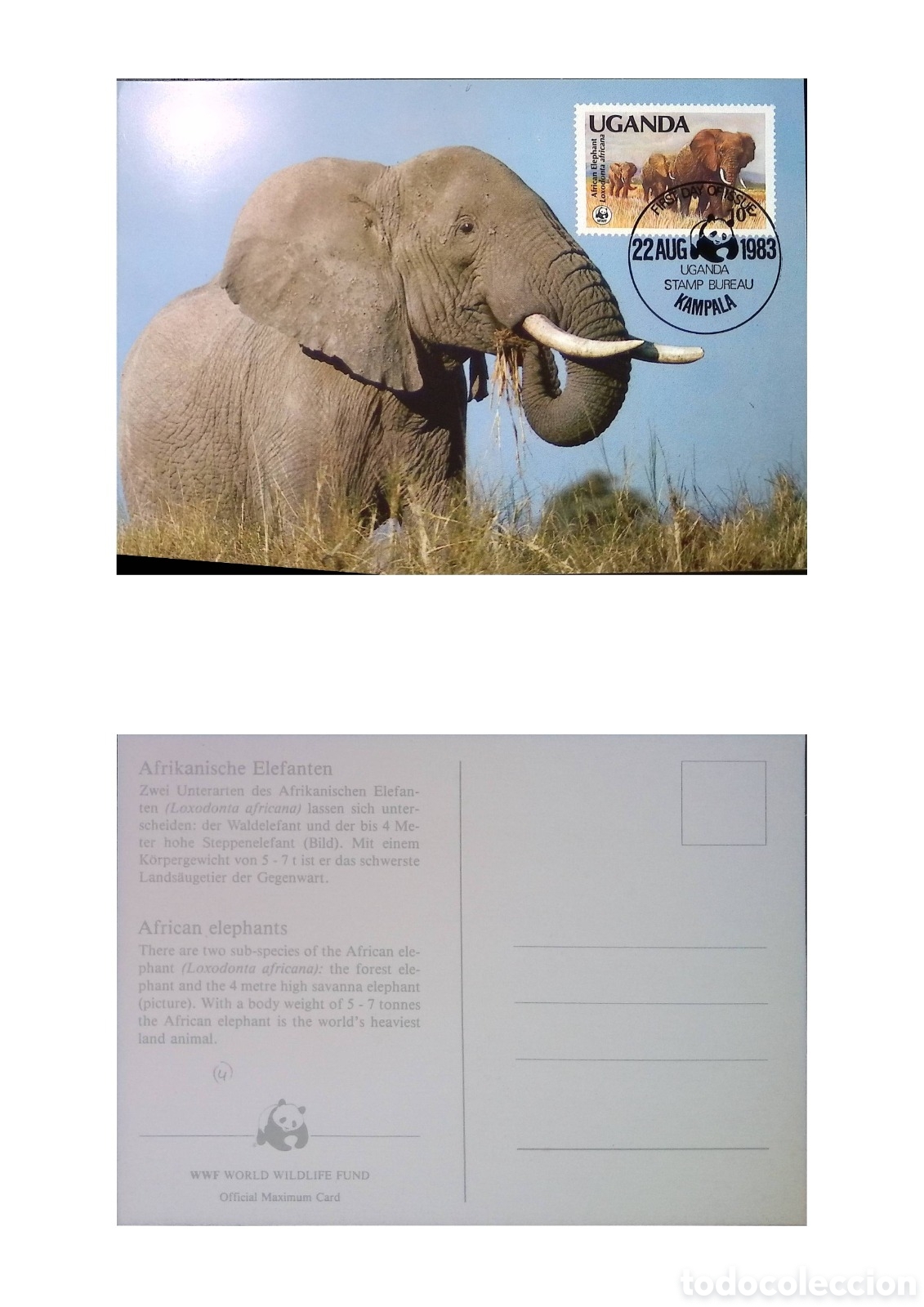 Monedas antiguas de &Aacute;frica: CA)Uganda &middot; 1983 &middot; African Elephants Conservation &middot; Official WWF maximum card showing a photograph o