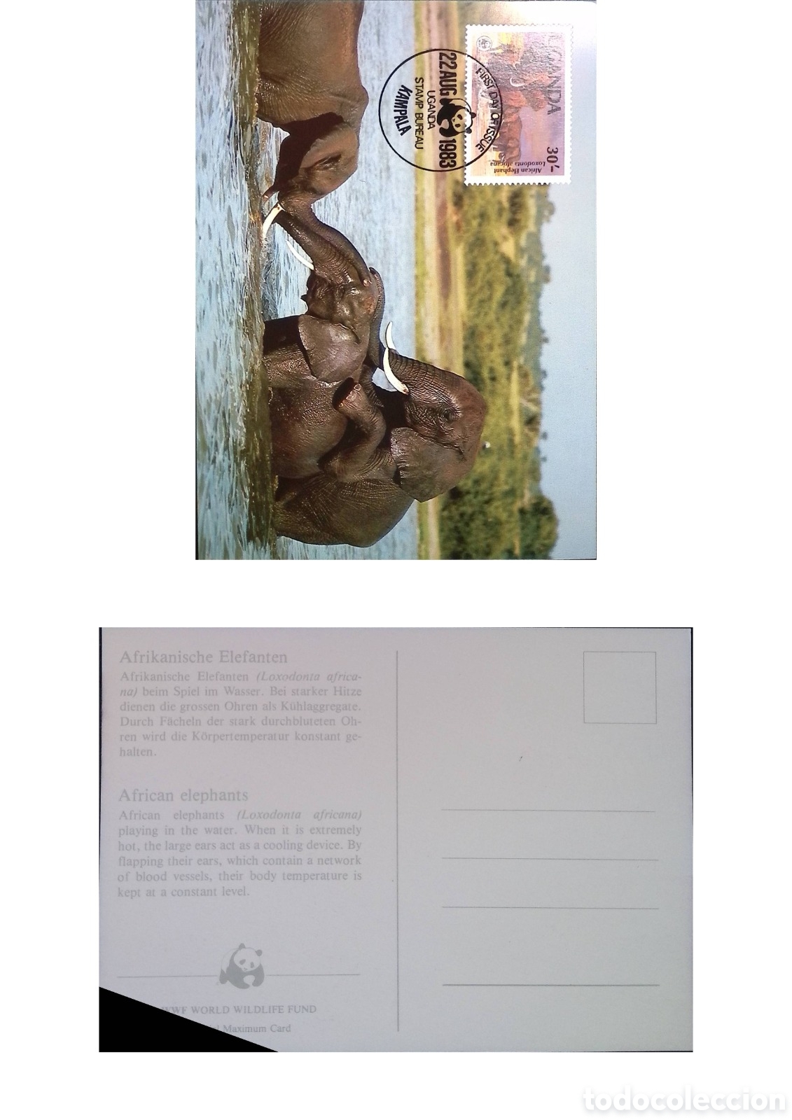Monedas antiguas de &Aacute;frica: CA)Uganda &middot; 1983 &middot; African Elephants Conservation &middot; WWF maximum card with 30c stamp depicting elepha