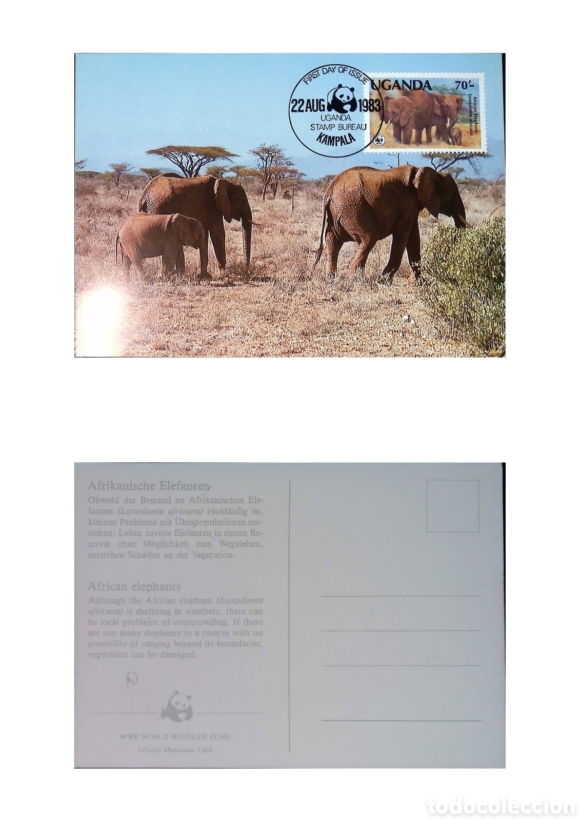 Monedas antiguas de &Aacute;frica: CA)Uganda &middot; 1983 &middot; African Elephants Conservation &middot; WWF official maximum card with Ugandan stamp pos