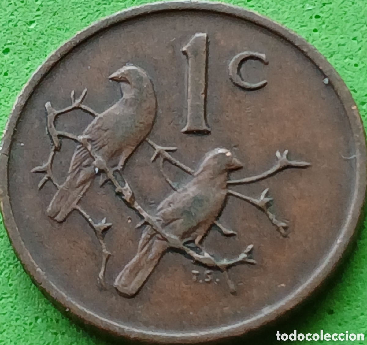 Monedas antiguas de &Aacute;frica: Suid &Aacute;frika 1 cent 1971 km#82