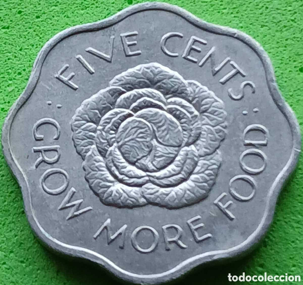 Monedas antiguas de &Aacute;frica: Seychelles five cents 1972 FAO km#18