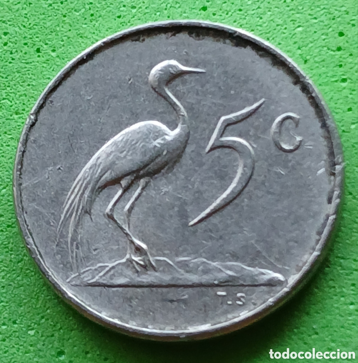 Monedas antiguas de &Aacute;frica: South &Aacute;frica 5 cents 1966 km#67.1
