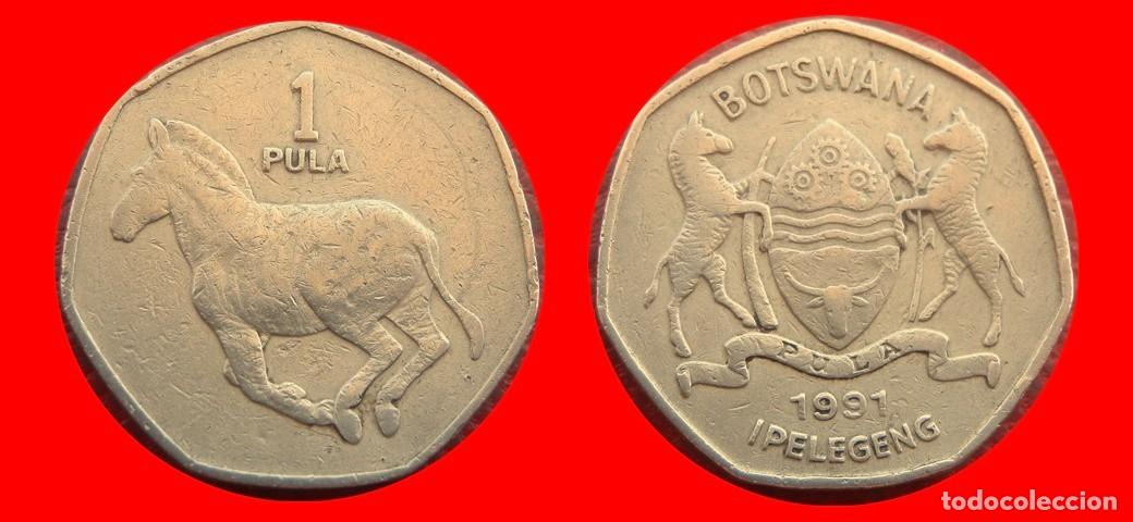 Monedas antiguas de &Aacute;frica: 1 PULA 1991 BOTSWANA-151906
