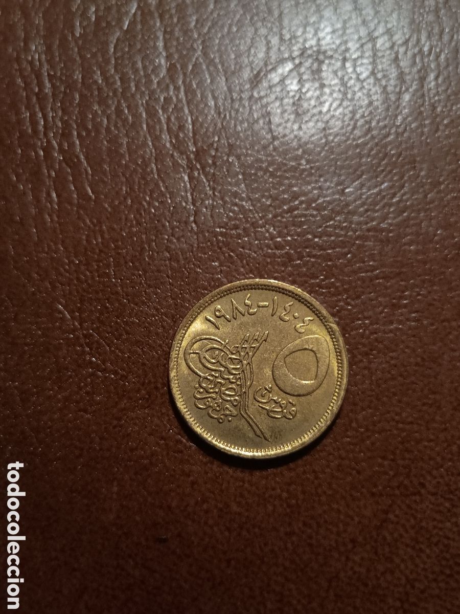 Monedas antiguas de &Aacute;frica: 5 QIRSH 1984 - EGIPTO