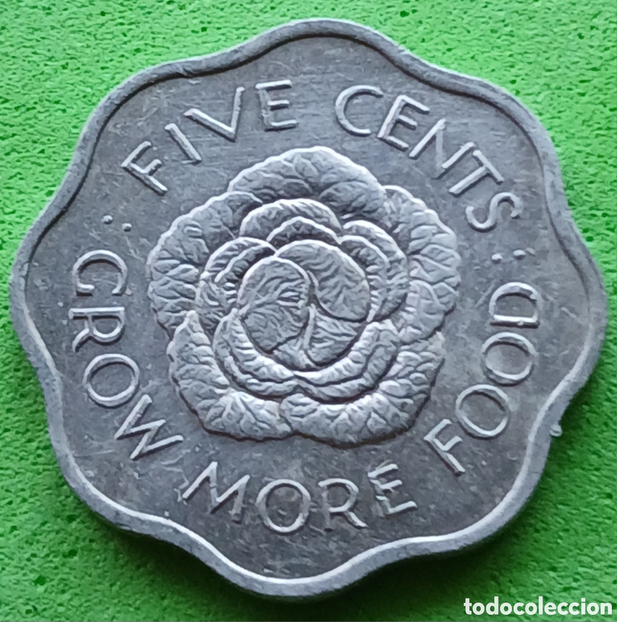 Monedas antiguas de &Aacute;frica: Seychelles five cents 1972 km#18 FAO