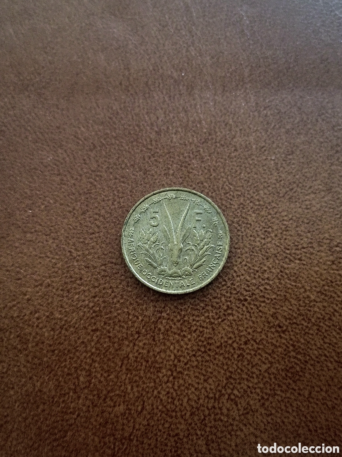 Monedas antiguas de &Aacute;frica: 5 FRANCOS 1956 - AFRICA OCCIDENTAL