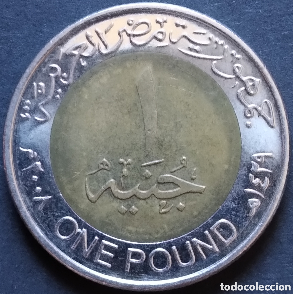 Monedas antiguas de &Aacute;frica: MONEDA - EGIPTO 1 LIBRA / POUND 2008 - Foto 2