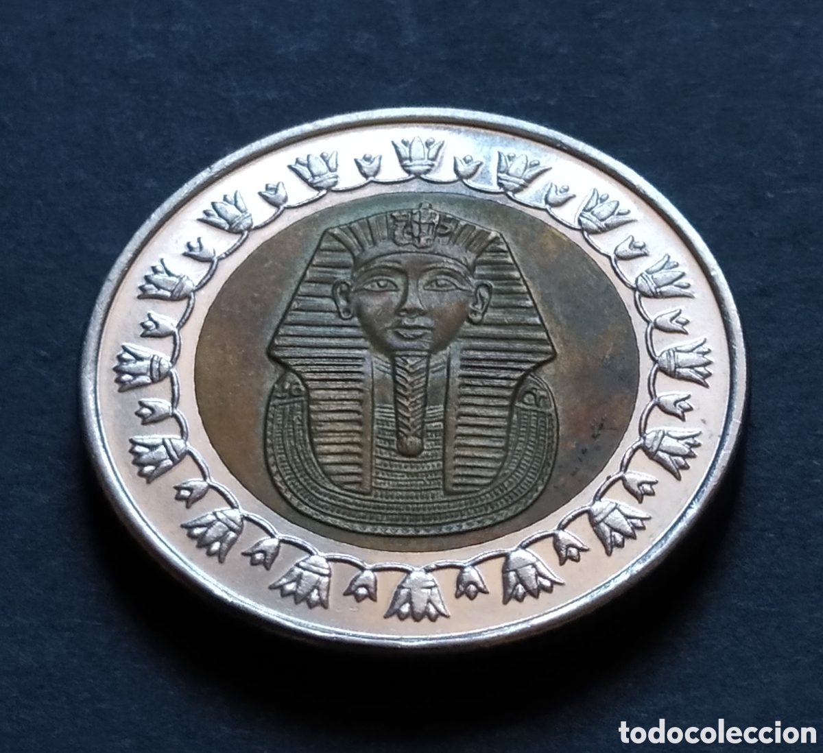 Monedas antiguas de &Aacute;frica: MONEDA - EGIPTO 1 LIBRA / POUND 2008 - Foto 3