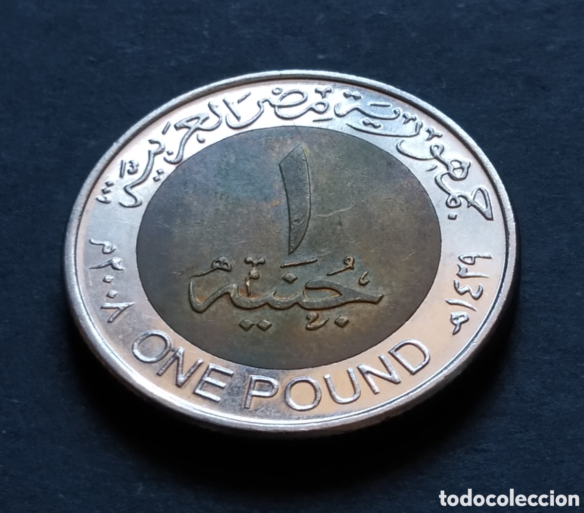 Monedas antiguas de &Aacute;frica: MONEDA - EGIPTO 1 LIBRA / POUND 2008 - Foto 4
