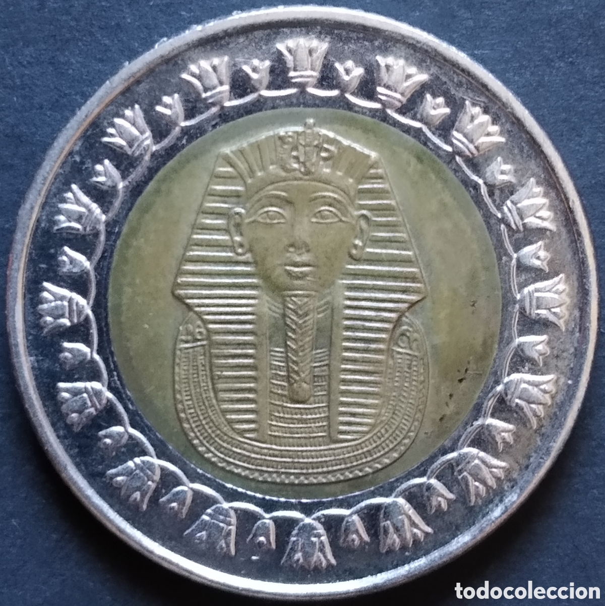 Monedas antiguas de &Aacute;frica: MONEDA - EGIPTO 1 LIBRA / POUND 2008