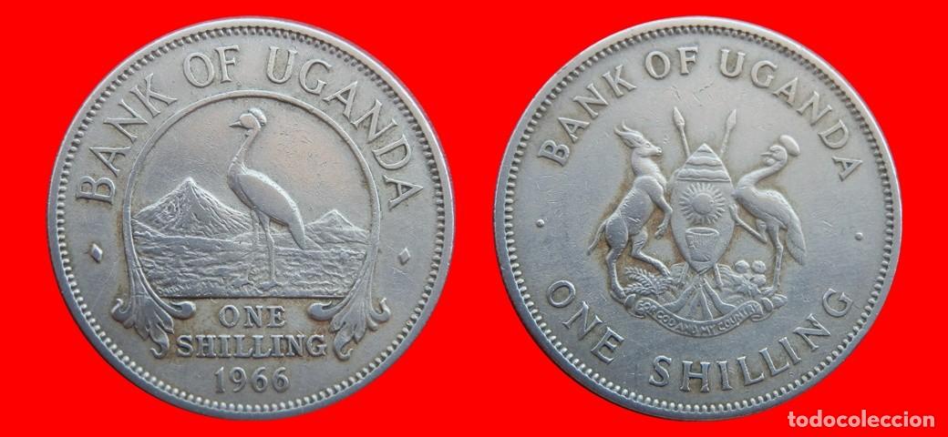 Monedas antiguas de &Aacute;frica: 1 CHELIN SHILLING 1966 UGANDA-151985