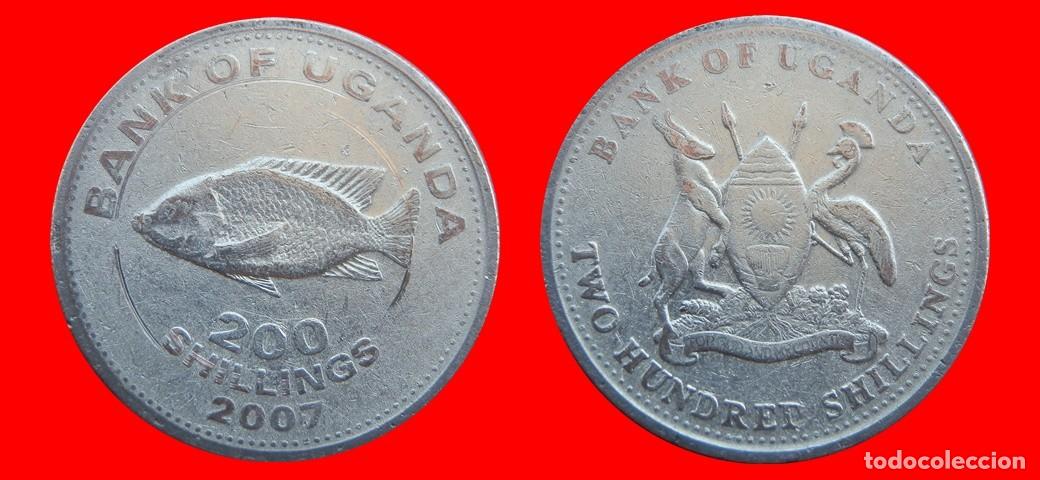 Monedas antiguas de &Aacute;frica: 200 CHELINES SHILLINGS 2007 UGANDA-151989