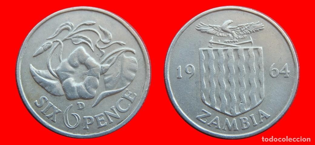 Monedas antiguas de &Aacute;frica: 6 PENIQUES PENCE 1964 ZAMBIA-151991