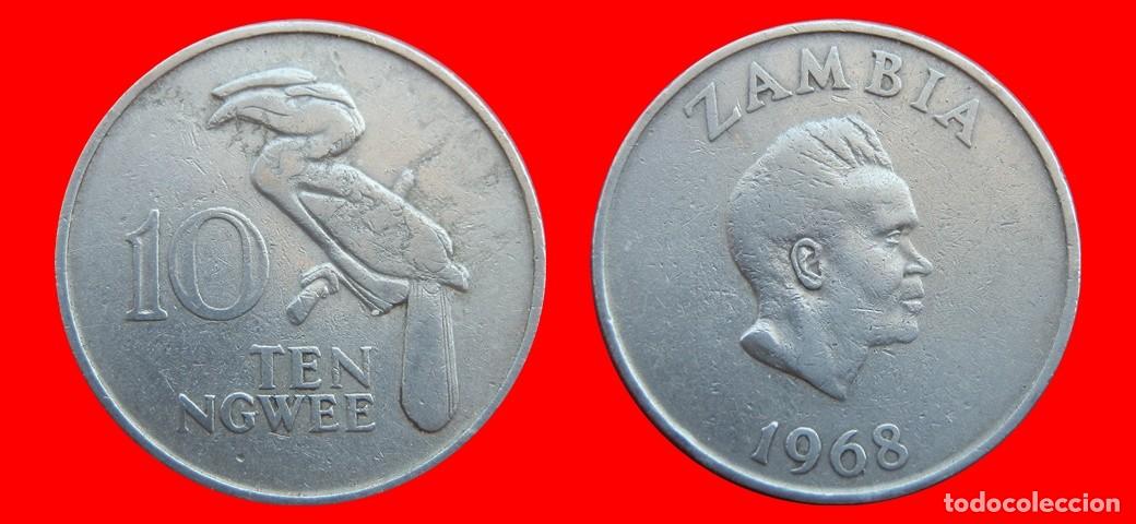 Monedas antiguas de &Aacute;frica: 10 NGWEE 1968 ZAMBIA-151992