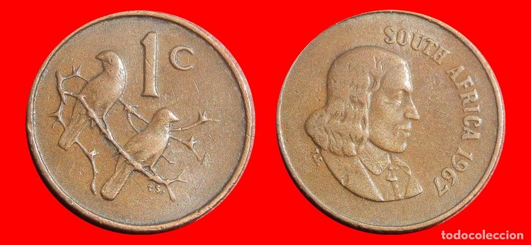 Monedas antiguas de &Aacute;frica: 1 CENTAVO 1967 SUDAFRICA-152182