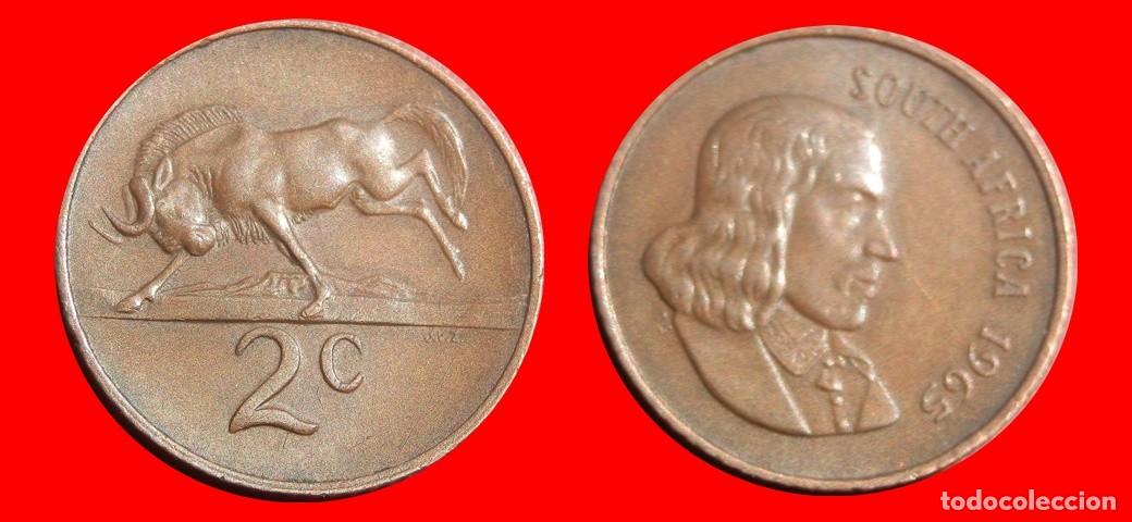 Monedas antiguas de &Aacute;frica: 2 CENTAVOS 1965 SUDAFRICA-152183