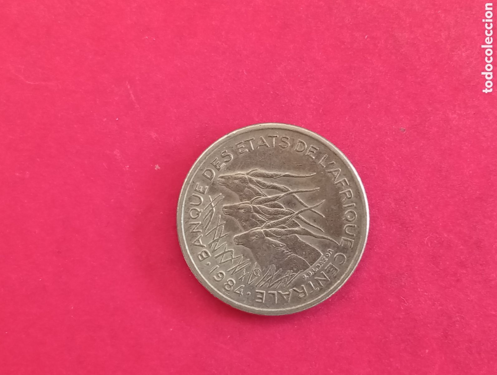 Monedas antiguas de &Aacute;frica: 50 francos de Gab&oacute;n 1984