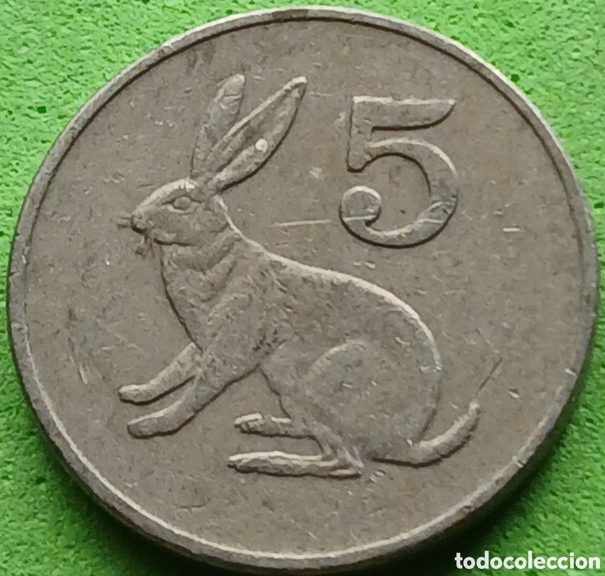 Monedas antiguas de &Aacute;frica: Zimbabwe 5 cents 1988 km#2