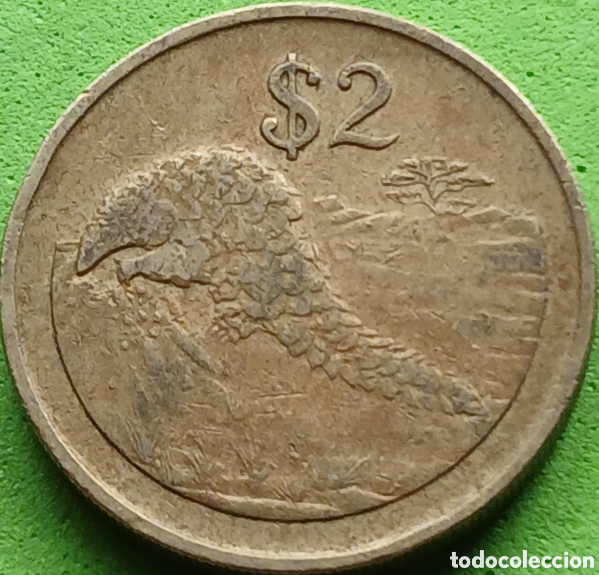 Monedas antiguas de &Aacute;frica: Zimbabwe 2 d&oacute;lares 1997 km#12