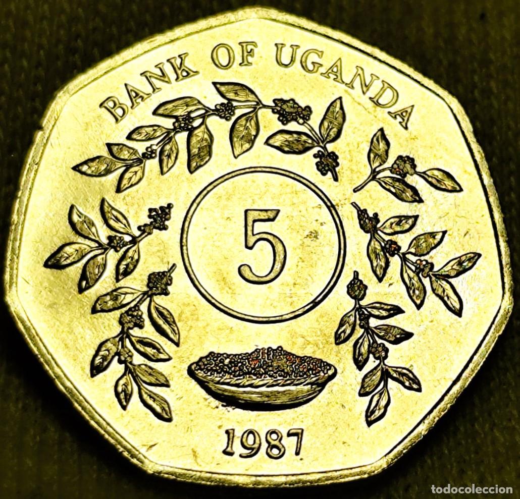 Monnaies anciennes d'Afrique: Uganda &ndash; 5 Chel&iacute;n 1987, UNC &ndash; Lote 2559