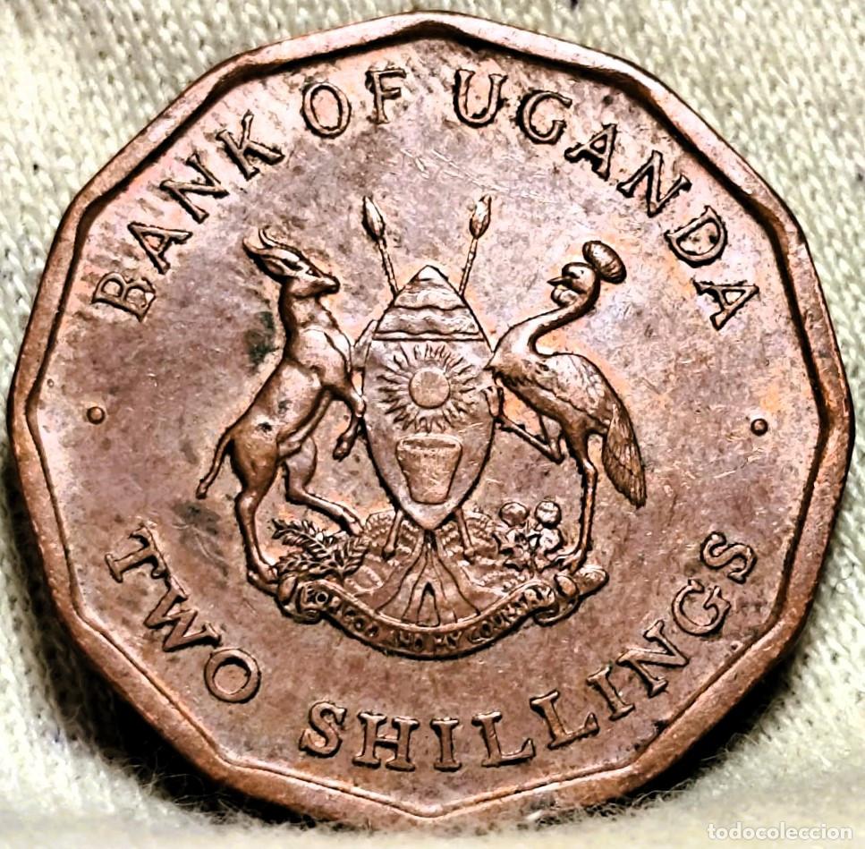 Monnaies anciennes d'Afrique: Uganda &ndash; 2 Chel&iacute;n 1987 Circulado, &ndash; Lote 2552