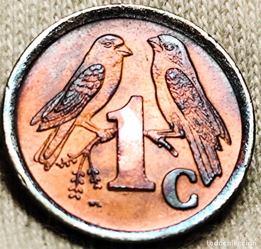Monedas antiguas de &Aacute;frica: Sud&aacute;frica 1 centavos, 1991&ndash; Sin Circular (SC) &ndash; Lote 2624