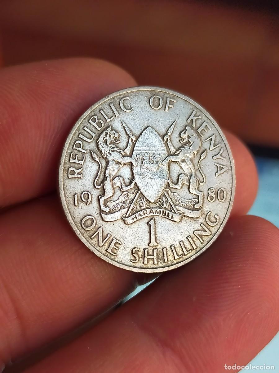 Monedas antiguas de &Aacute;frica: MONEDA DE 1 UN CHELIN SHILLING KENIA KENYA 1980 MUY BUENA CONSERVACION