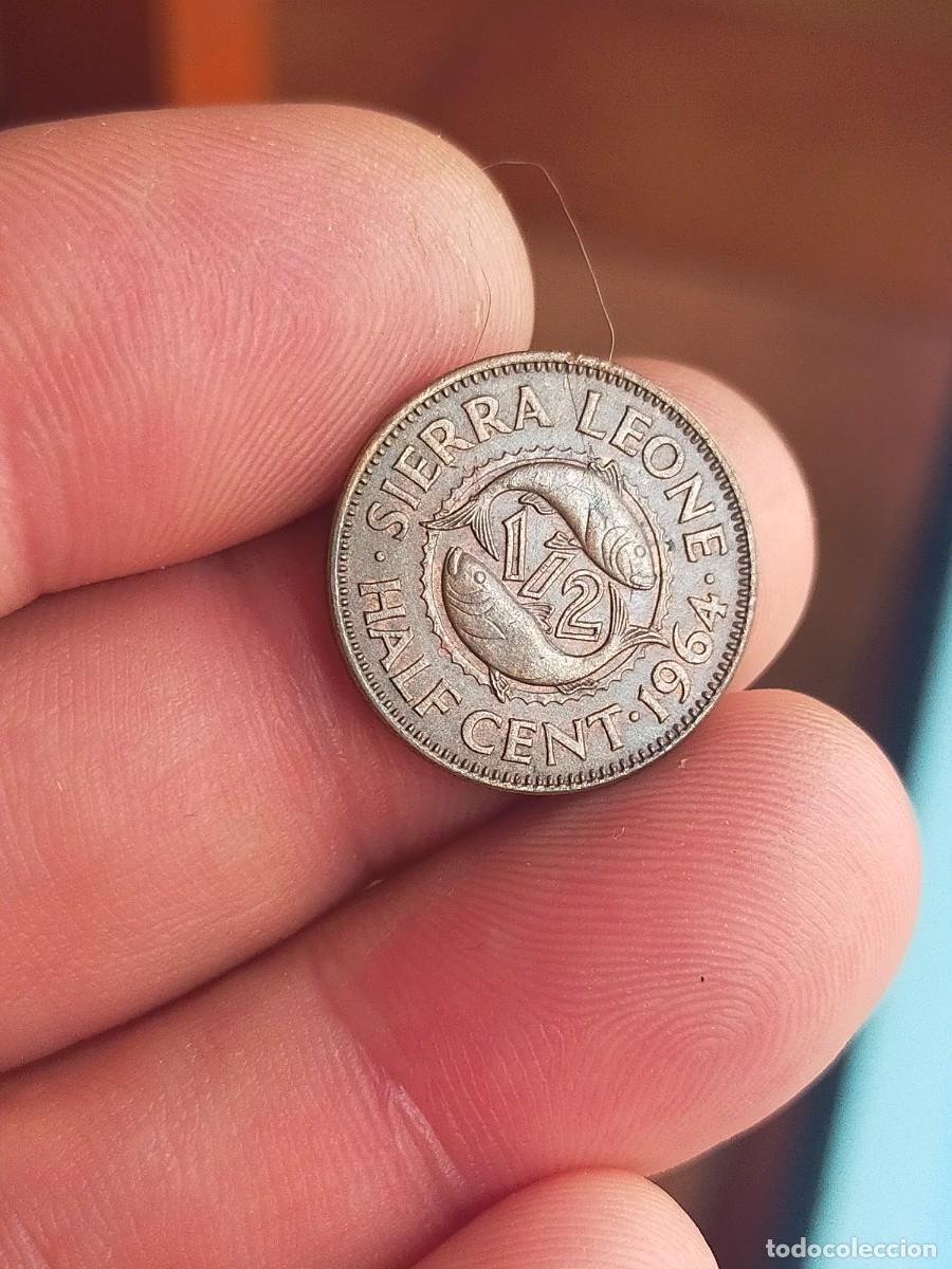 Monedas antiguas de &Aacute;frica: MONEDA DE 1/2 0.5 HALF MEDIO CENT CENTAVO 1964 SIERRA LEONA MUY BUENA CONSERVACION