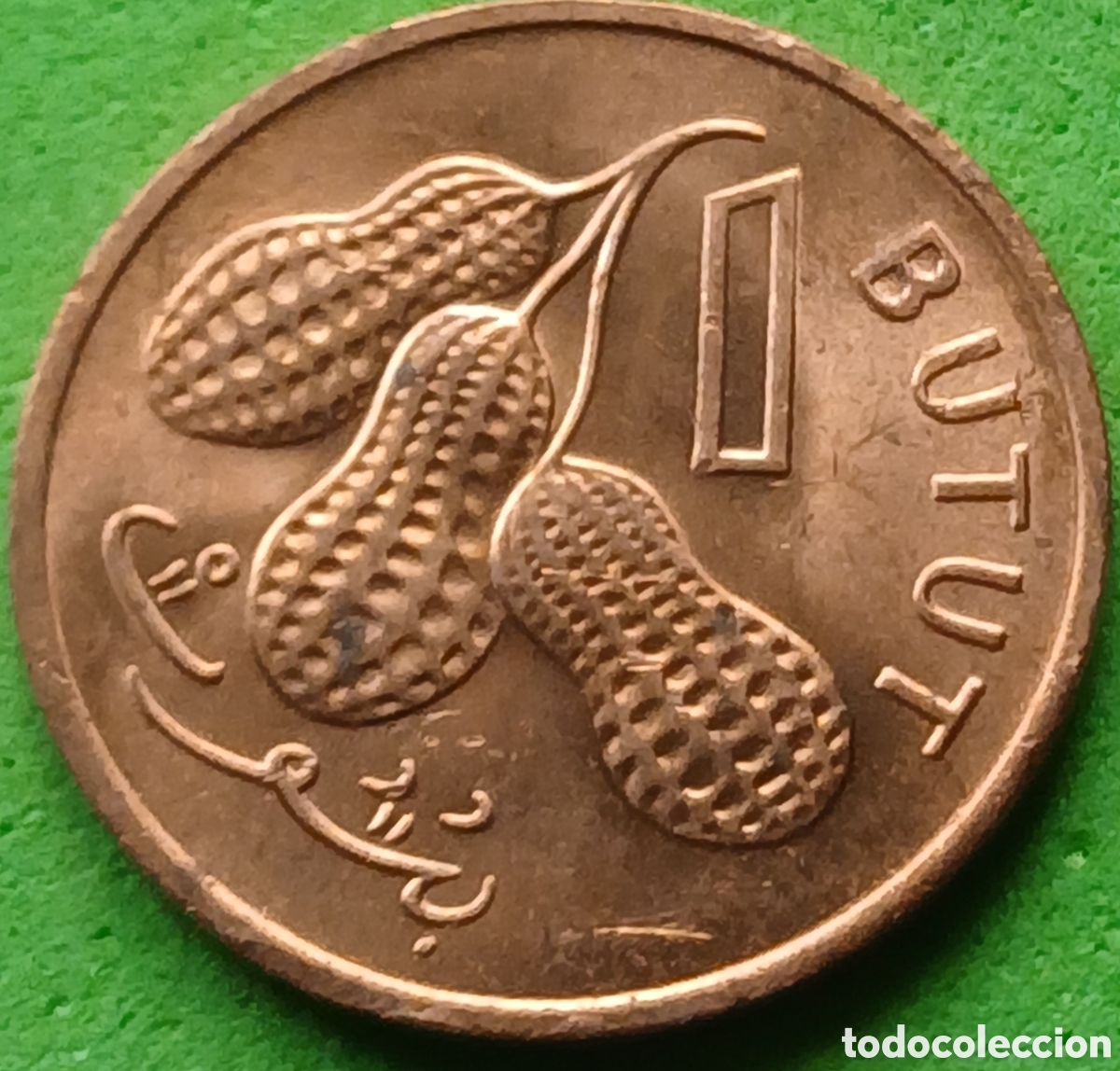 Monedas antiguas de &Aacute;frica: Gambia 1 butut 1974 km#8