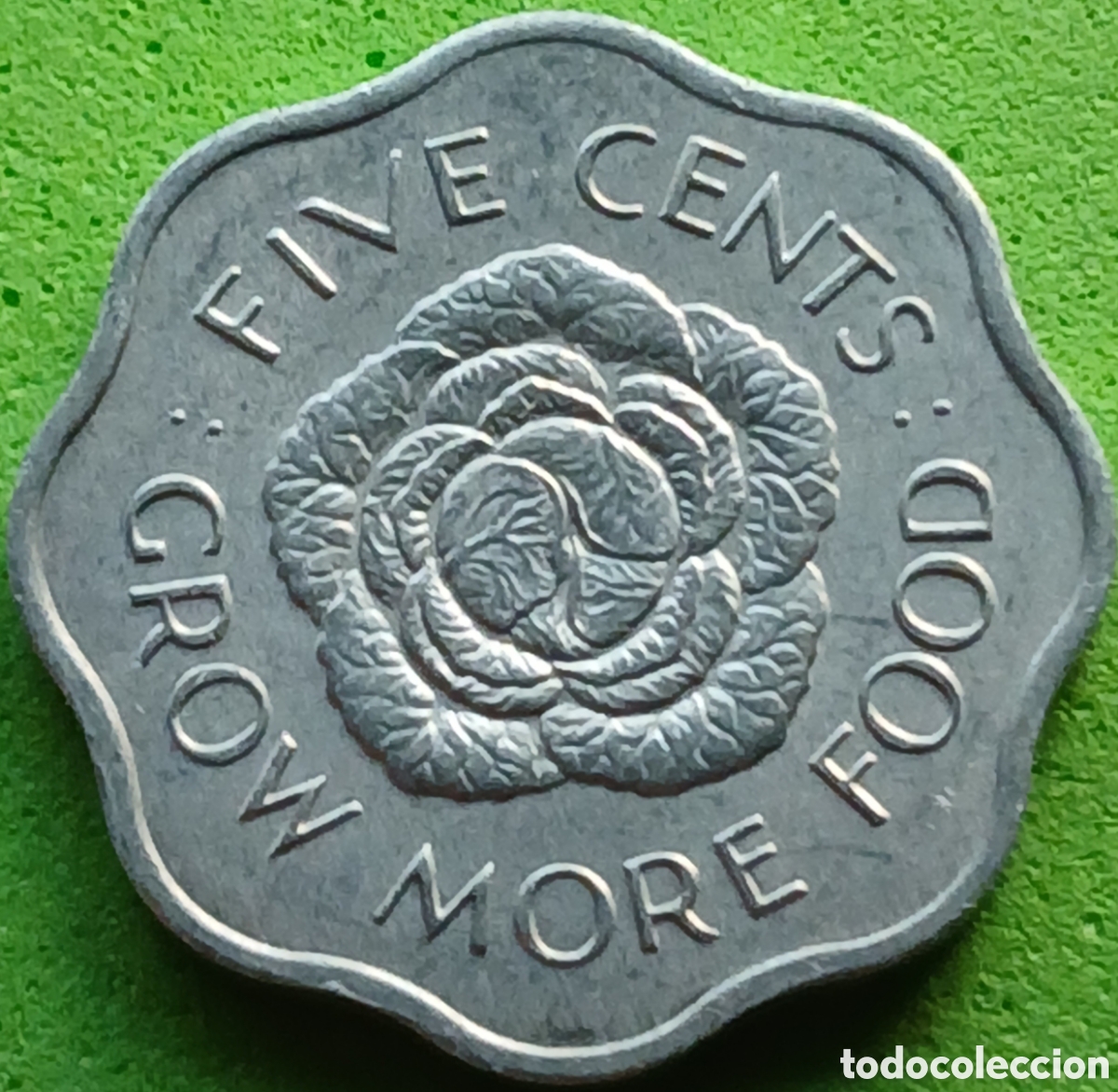 Monedas antiguas de &Aacute;frica: Seychelles five cents 1972 FAO km#18