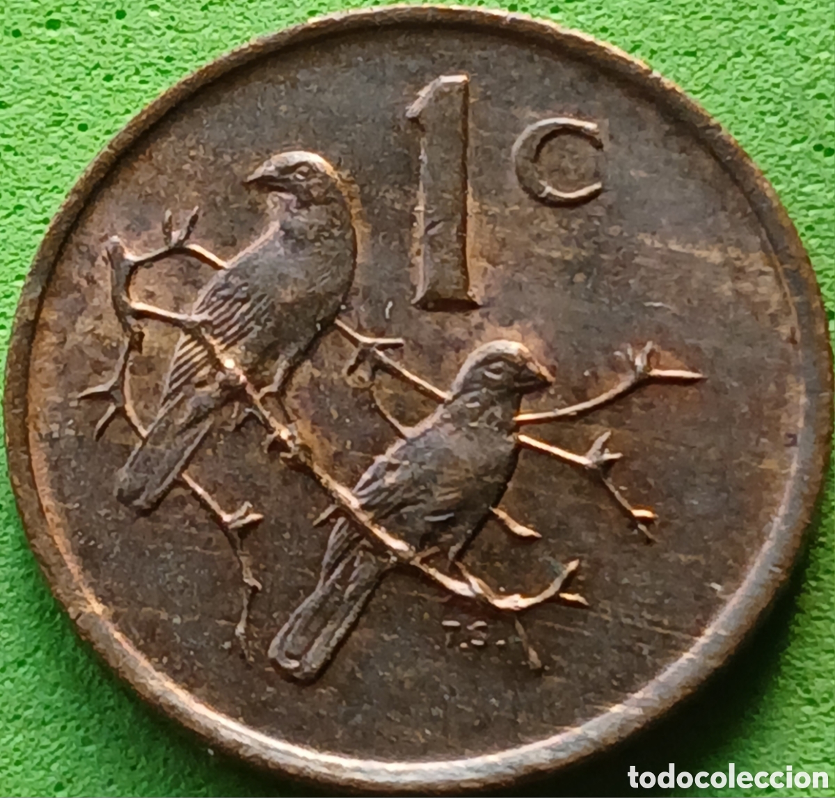 Monedas antiguas de &Aacute;frica: Suid &Aacute;frika 1 cent 1982 km#109 B.J.VORSTER