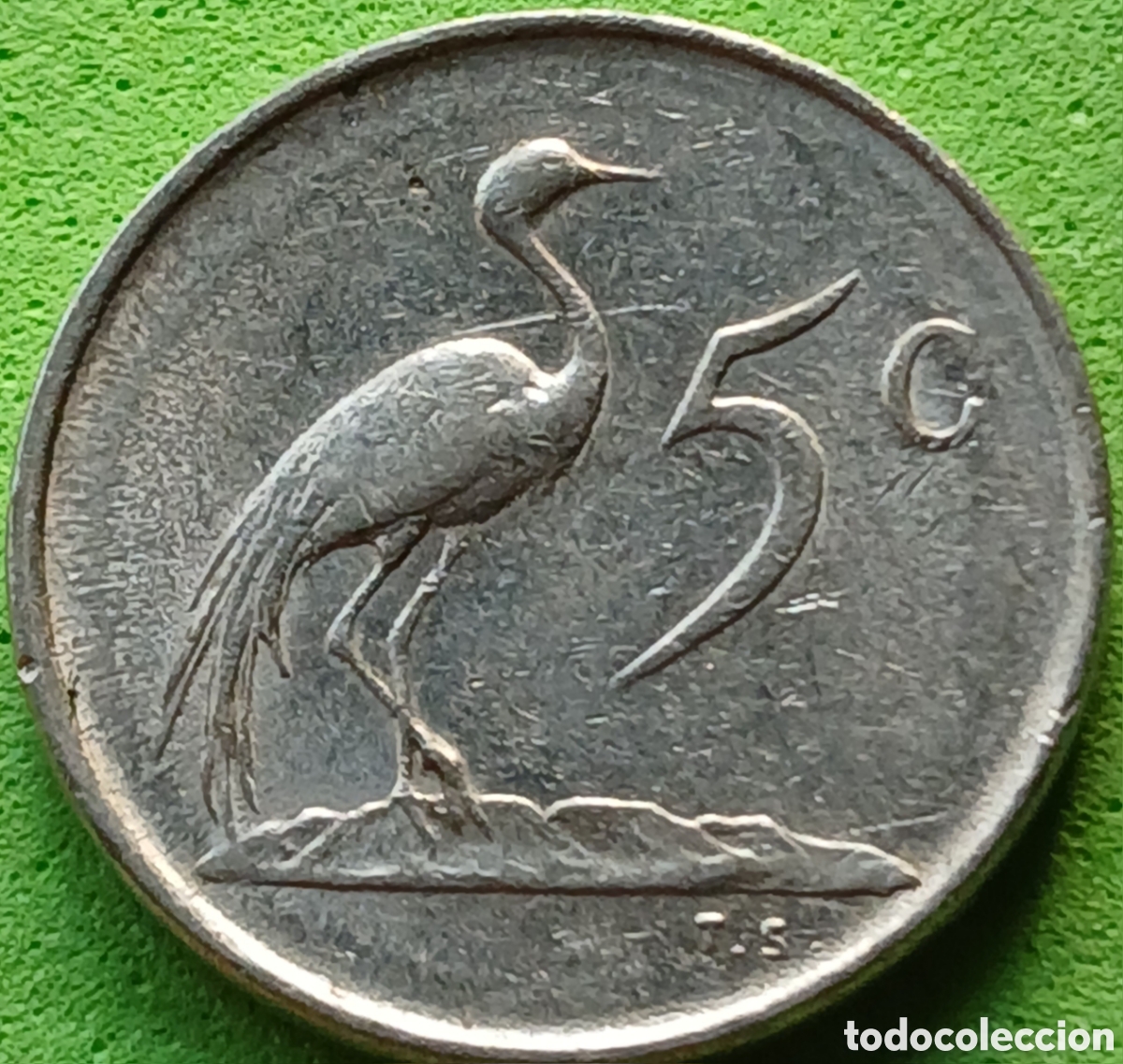 Monedas antiguas de &Aacute;frica: Suid &Aacute;frika 5 cents 1977 km#84